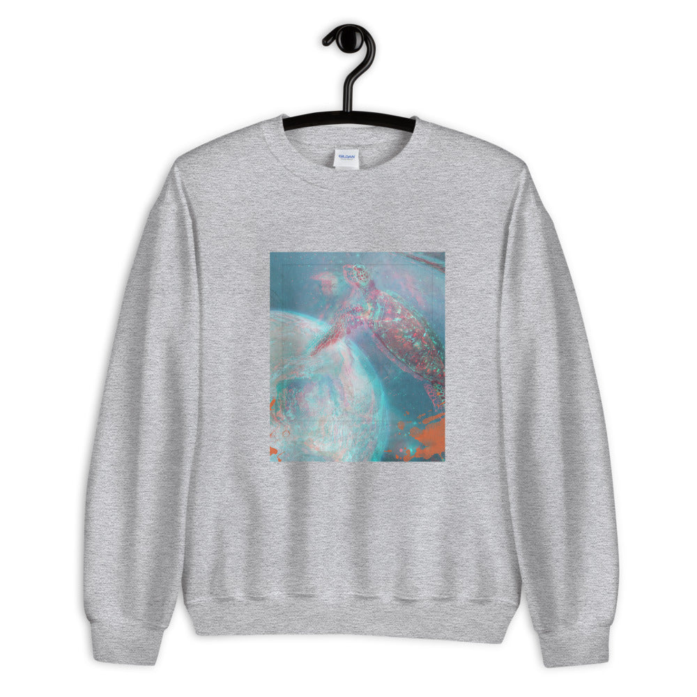 Aesthetic Women's Sweatshirt /Turtle